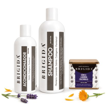 Kit Shampoo, Acondicionador y Jabón